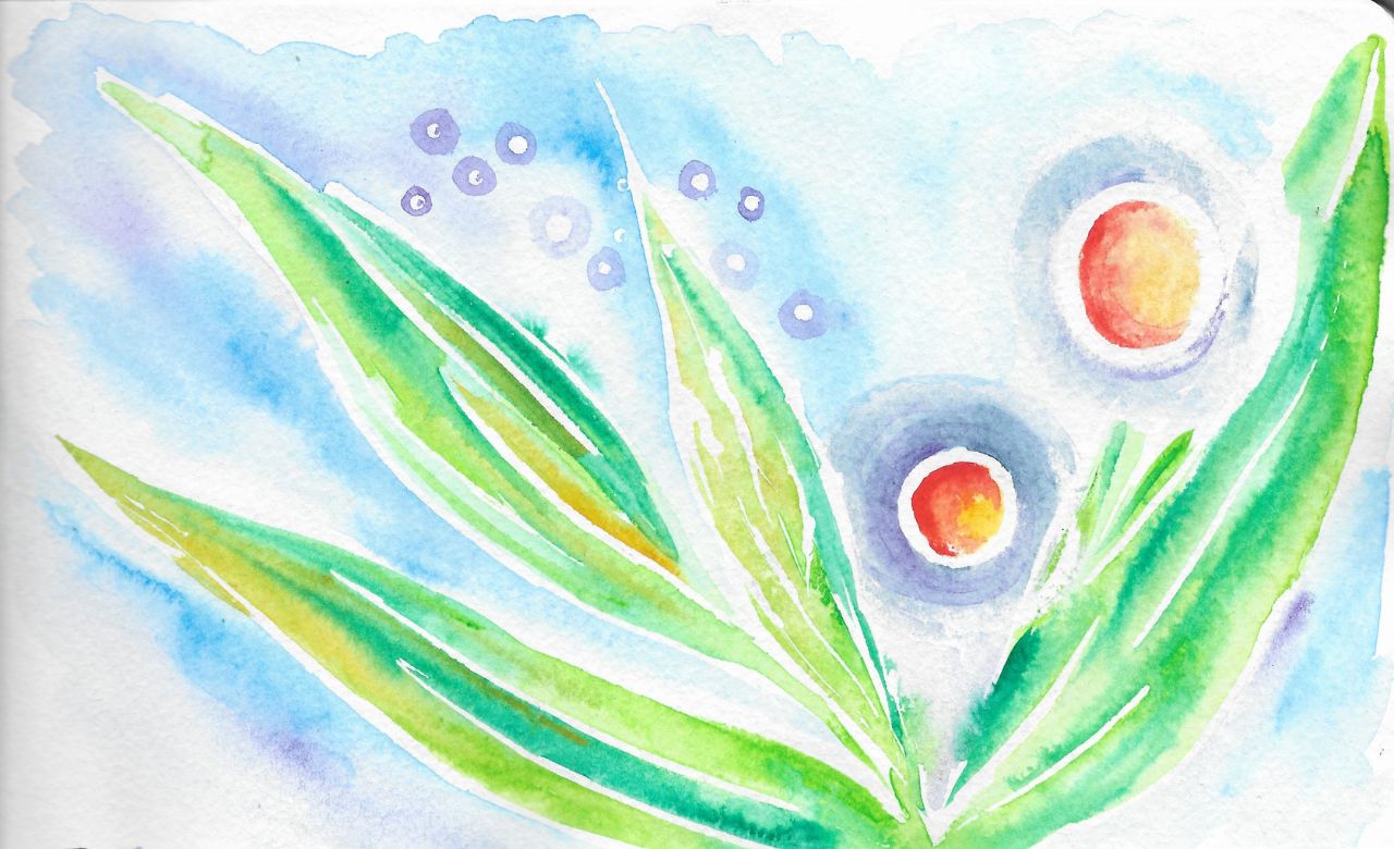 aquarelle fleur de l'artiste Geraldine Senon